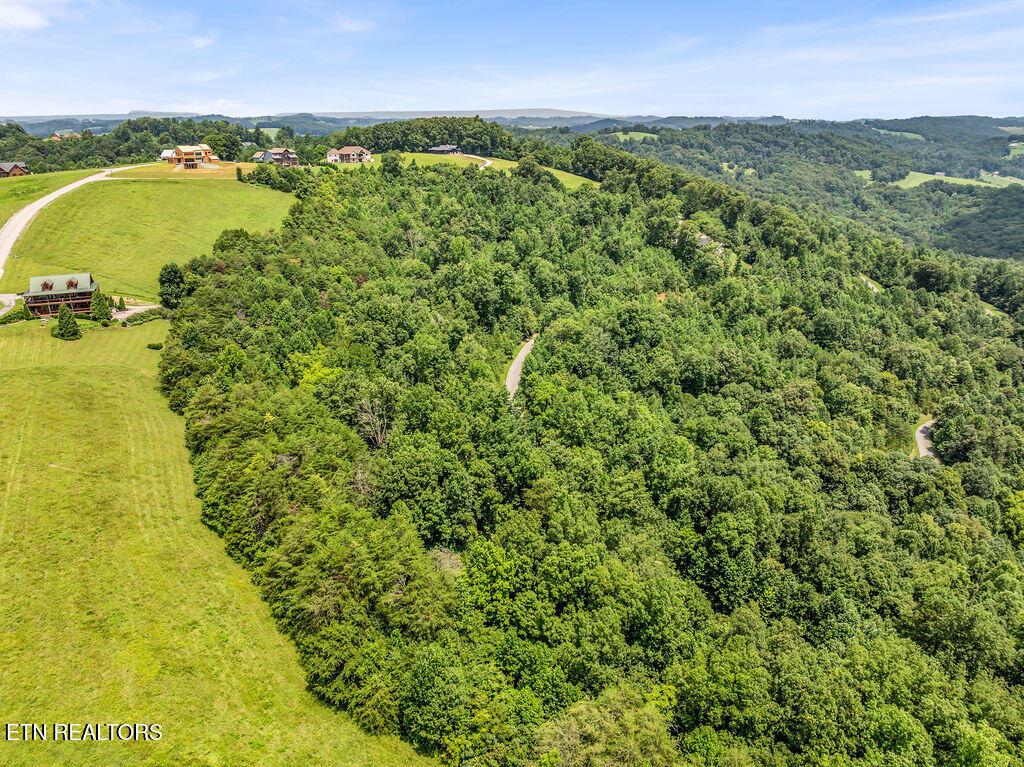 Lot 453 Silver Trl, New Tazewell, TN - Norris Lake Real Estate - Image# 6