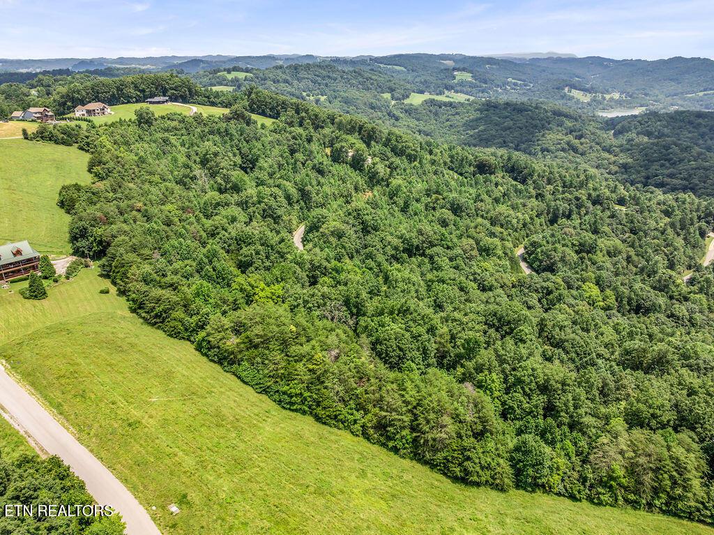 Lot 453 Silver Trl, New Tazewell, TN - Norris Lake Real Estate - Image# 7