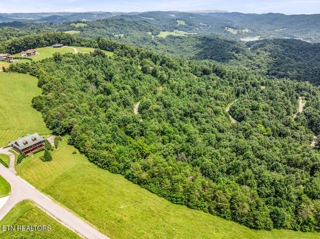 Lot 453 Silver Trl, New Tazewell, TN - Norris Lake Real Estate - Image# 8