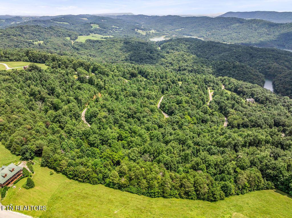 Lot 453 Silver Trl, New Tazewell, TN - Norris Lake Real Estate - Image# 9