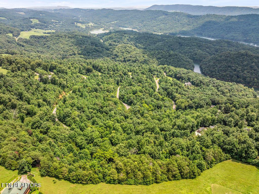 Lot 453 Silver Trl, New Tazewell, TN - Norris Lake Real Estate - Image# 10