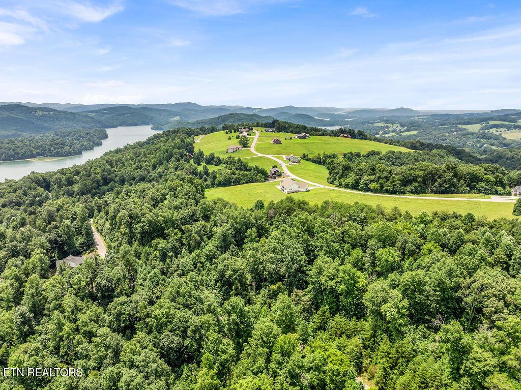 Lot 453 Silver Trl, New Tazewell, TN - Norris Lake Real Estate - Image# 18