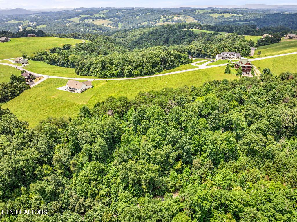 Lot 453 Silver Trl, New Tazewell, TN - Norris Lake Real Estate - Image# 19