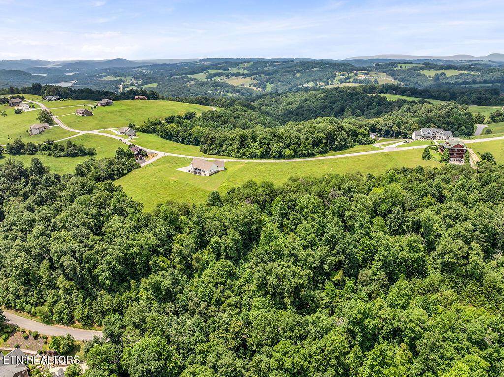 Lot 453 Silver Trl, New Tazewell, TN - Norris Lake Real Estate - Image# 20