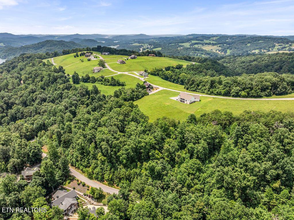 Lot 453 Silver Trl, New Tazewell, TN - Norris Lake Real Estate - Image# 21
