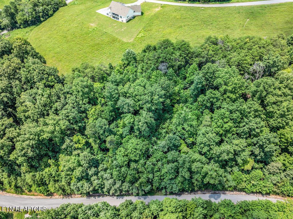 Lot 453 Silver Trl, New Tazewell, TN - Norris Lake Real Estate - Image# 22