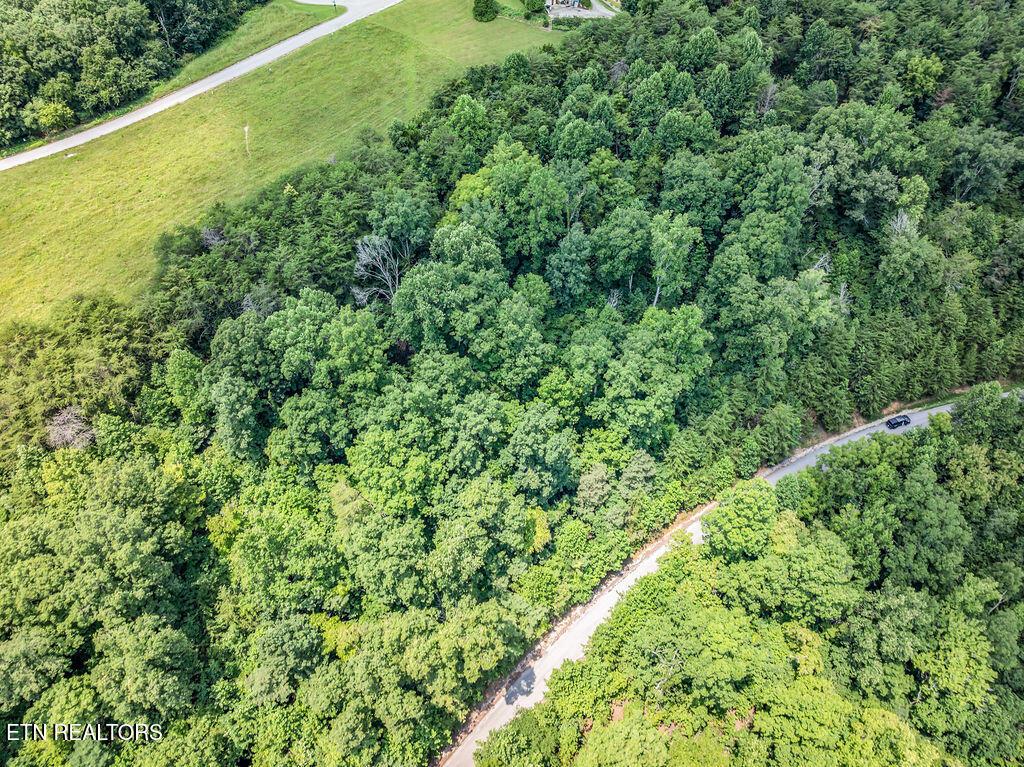 Lot 453 Silver Trl, New Tazewell, TN - Norris Lake Real Estate - Image# 23