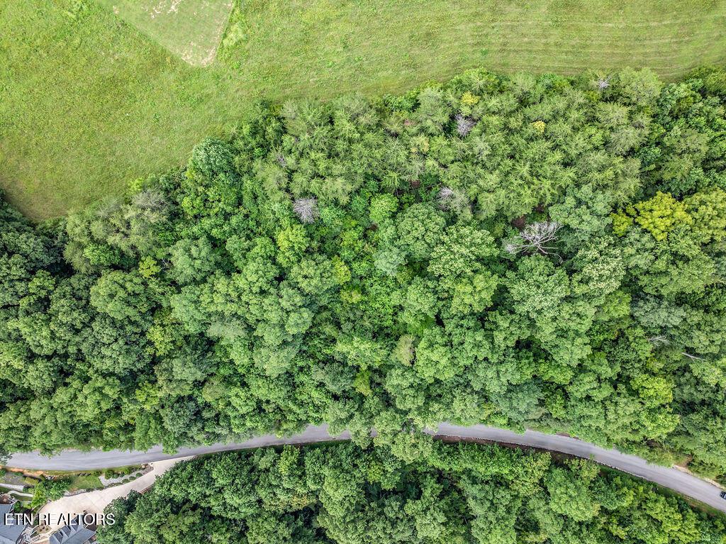 Lot 453 Silver Trl, New Tazewell, TN - Norris Lake Real Estate - Image# 24