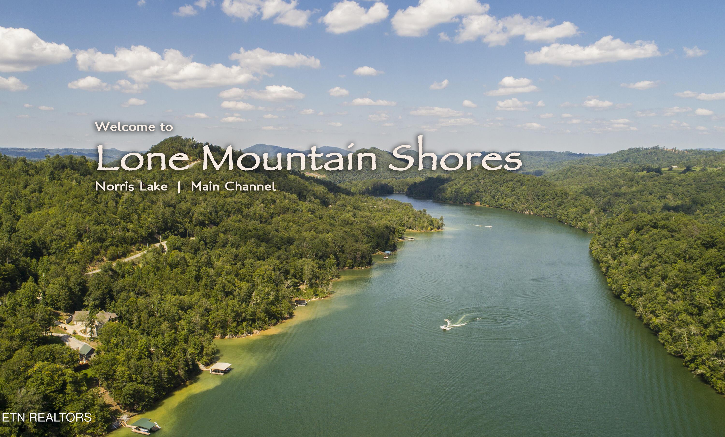 Norris Lake Real Estate - Image# 10