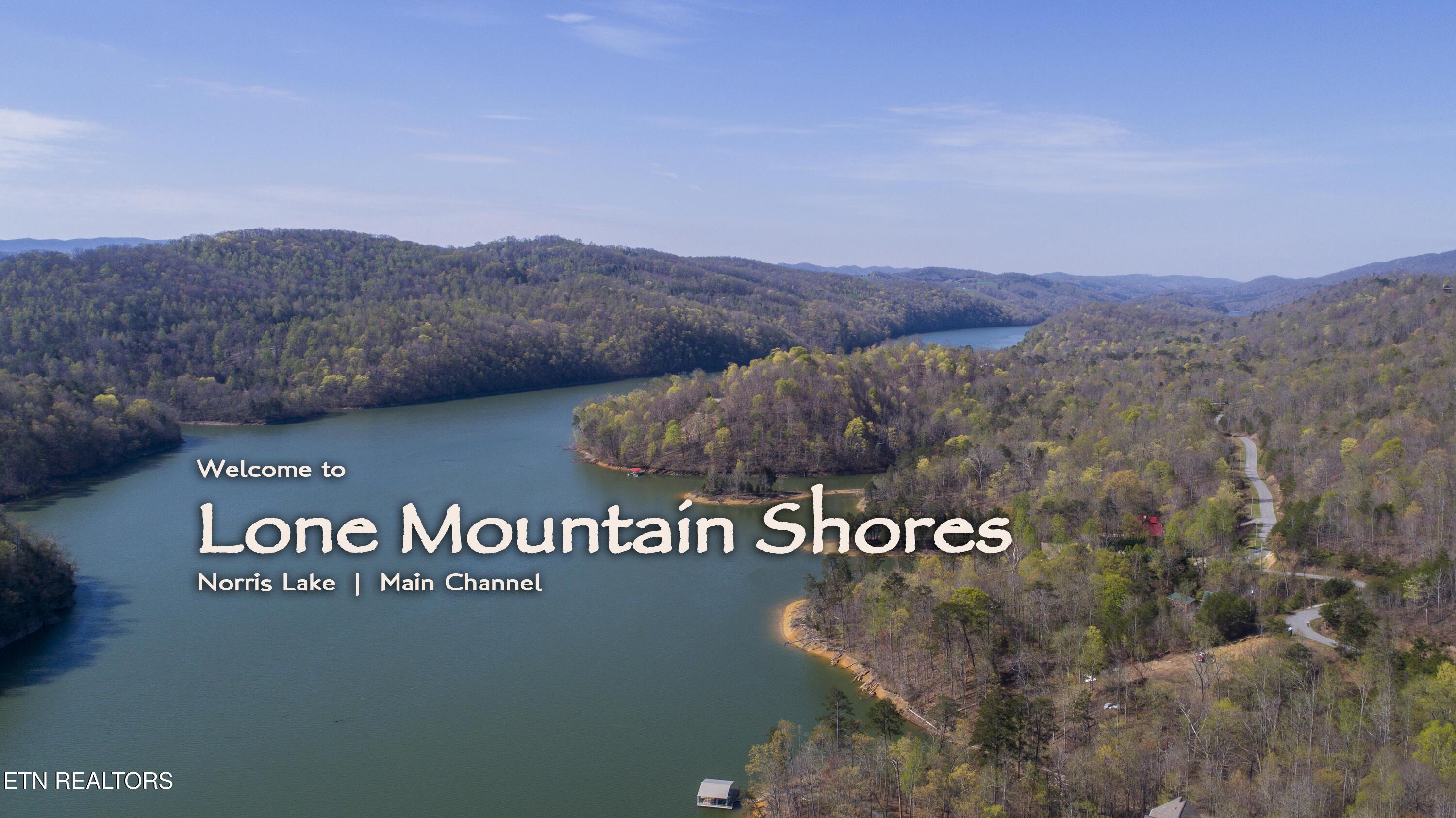 Norris Lake Real Estate - Image# 40