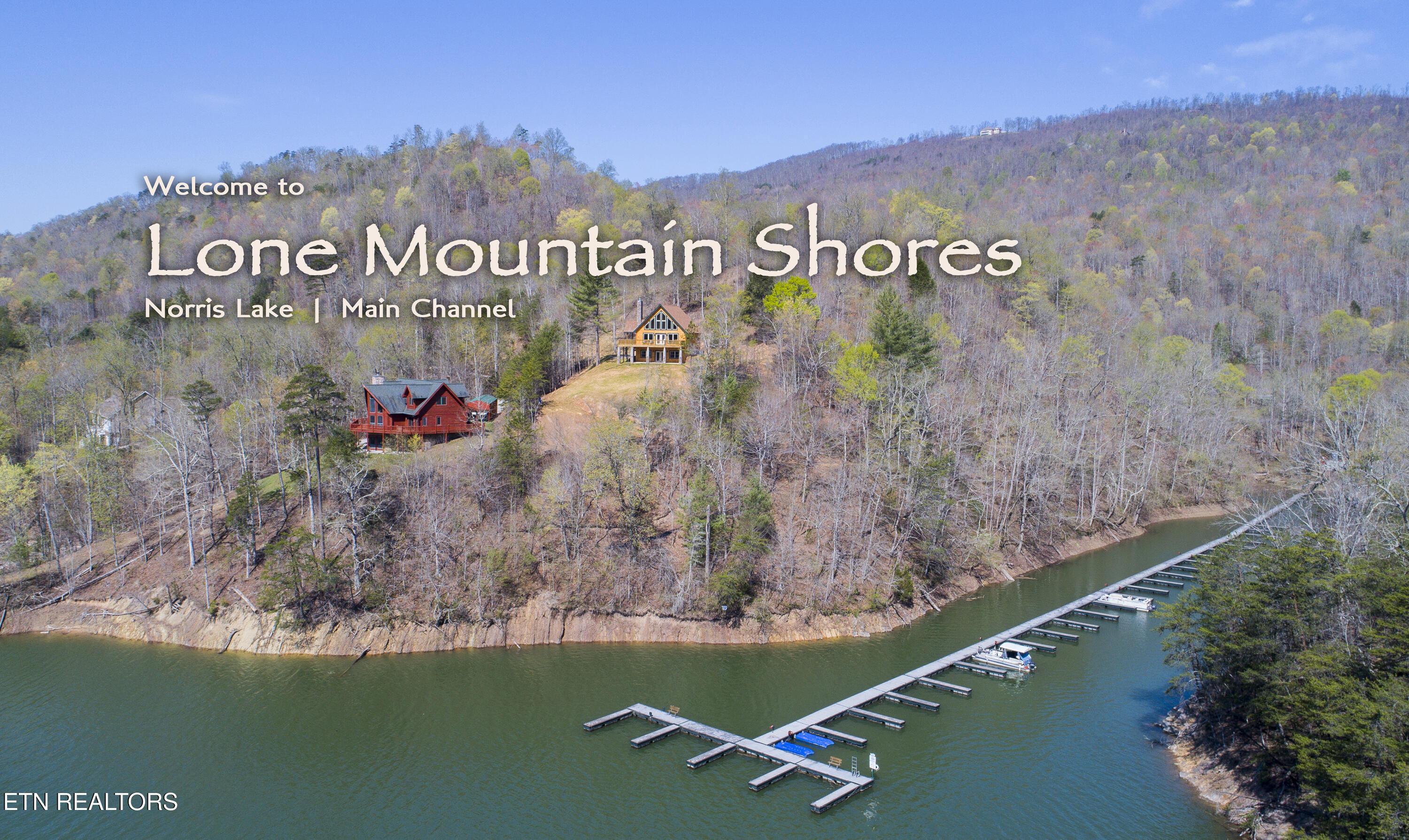 Norris Lake Real Estate - Image# 11