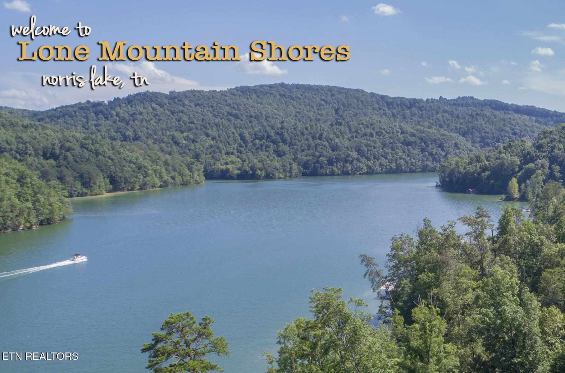 Norris Lake Real Estate - Image# 12