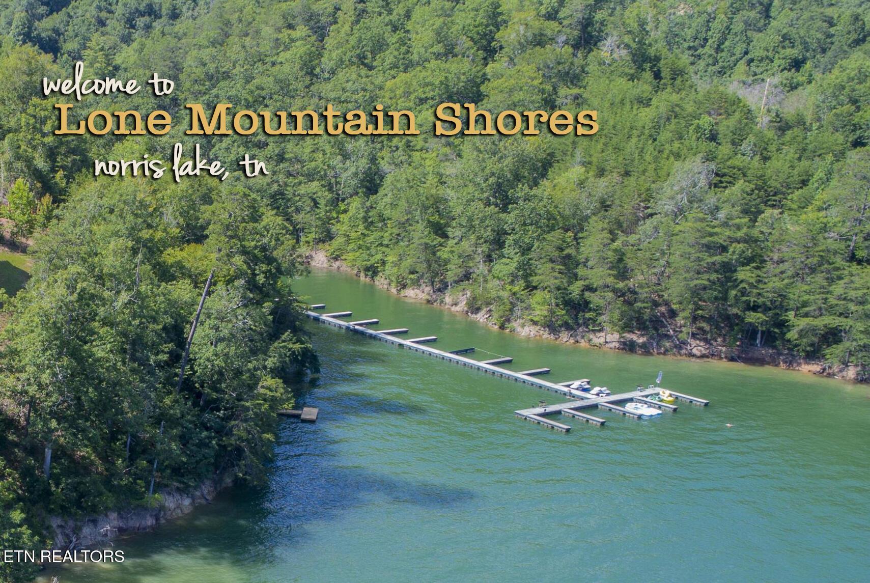 Norris Lake Real Estate - Image# 13