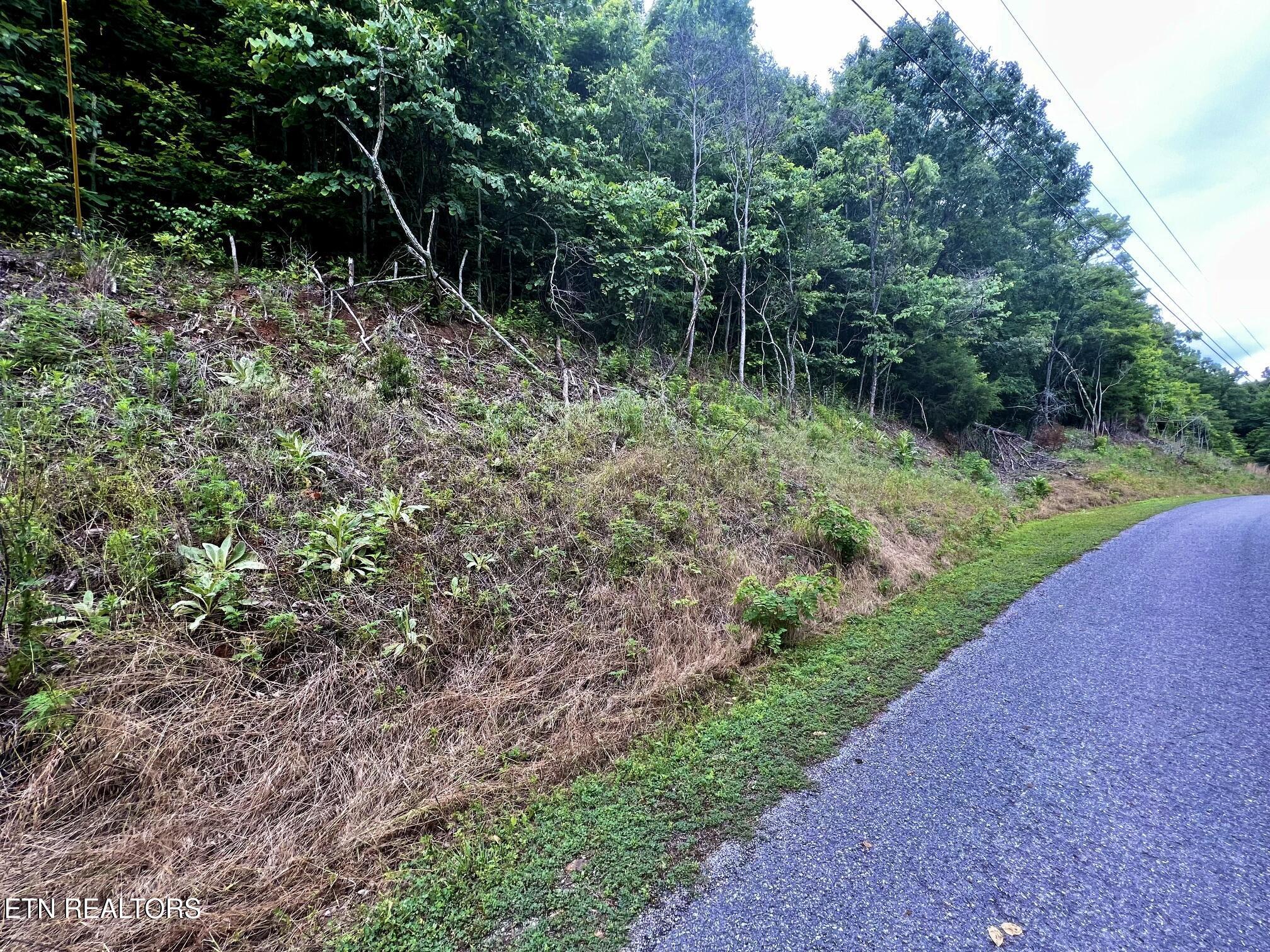 Norris Lake Real Estate - Image# 5