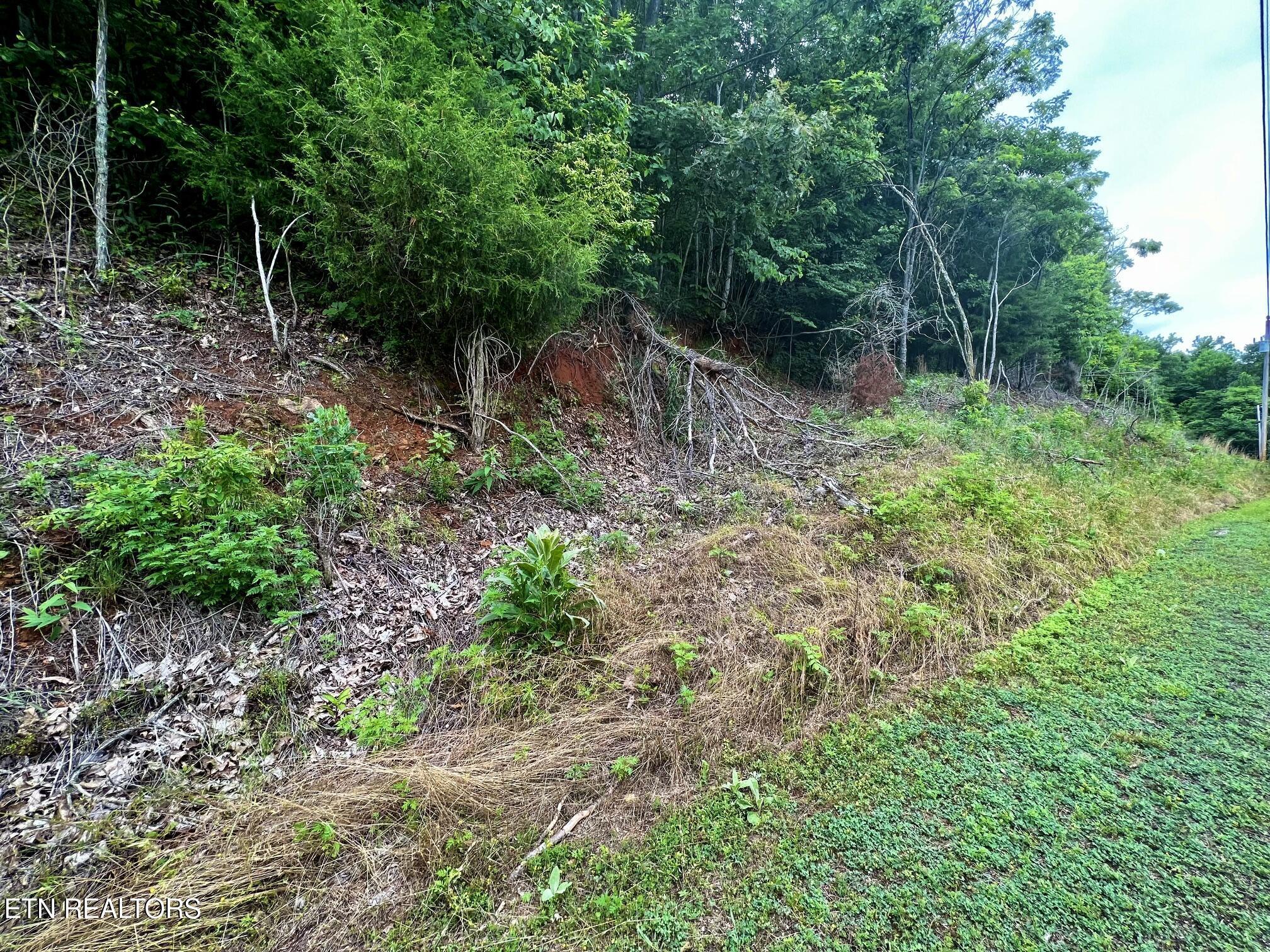 Norris Lake Real Estate - Image# 6