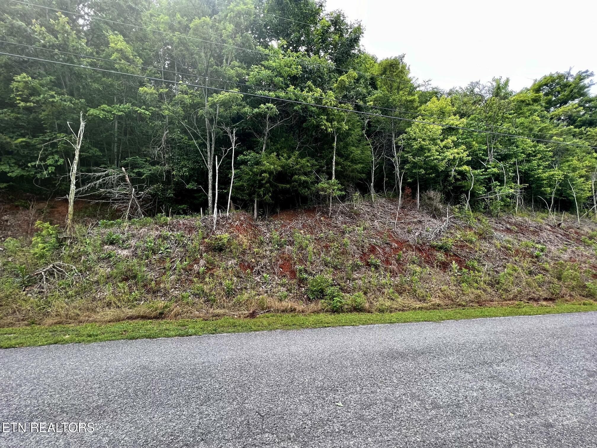 Norris Lake Real Estate - Image# 7