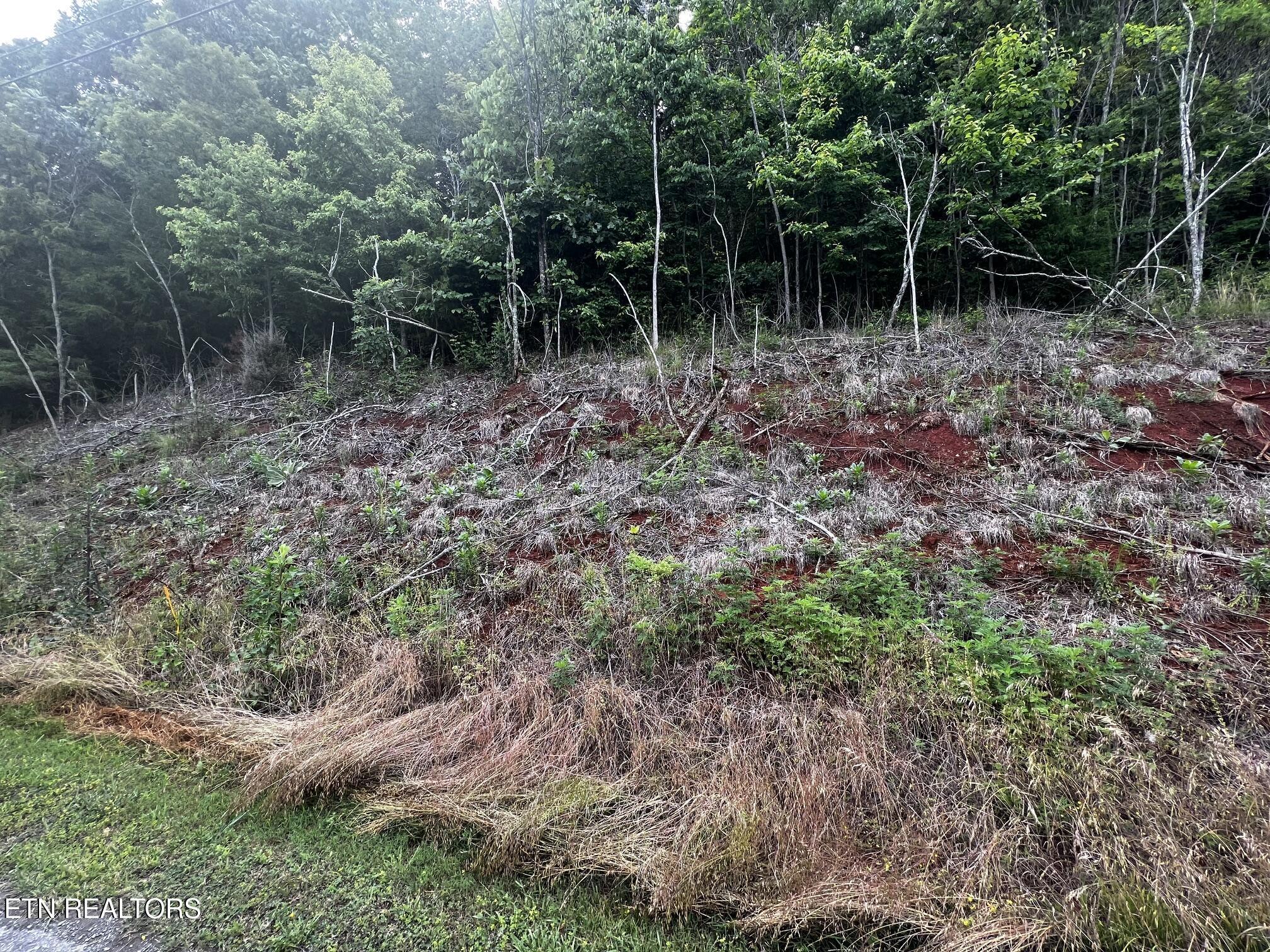Norris Lake Real Estate - Image# 8