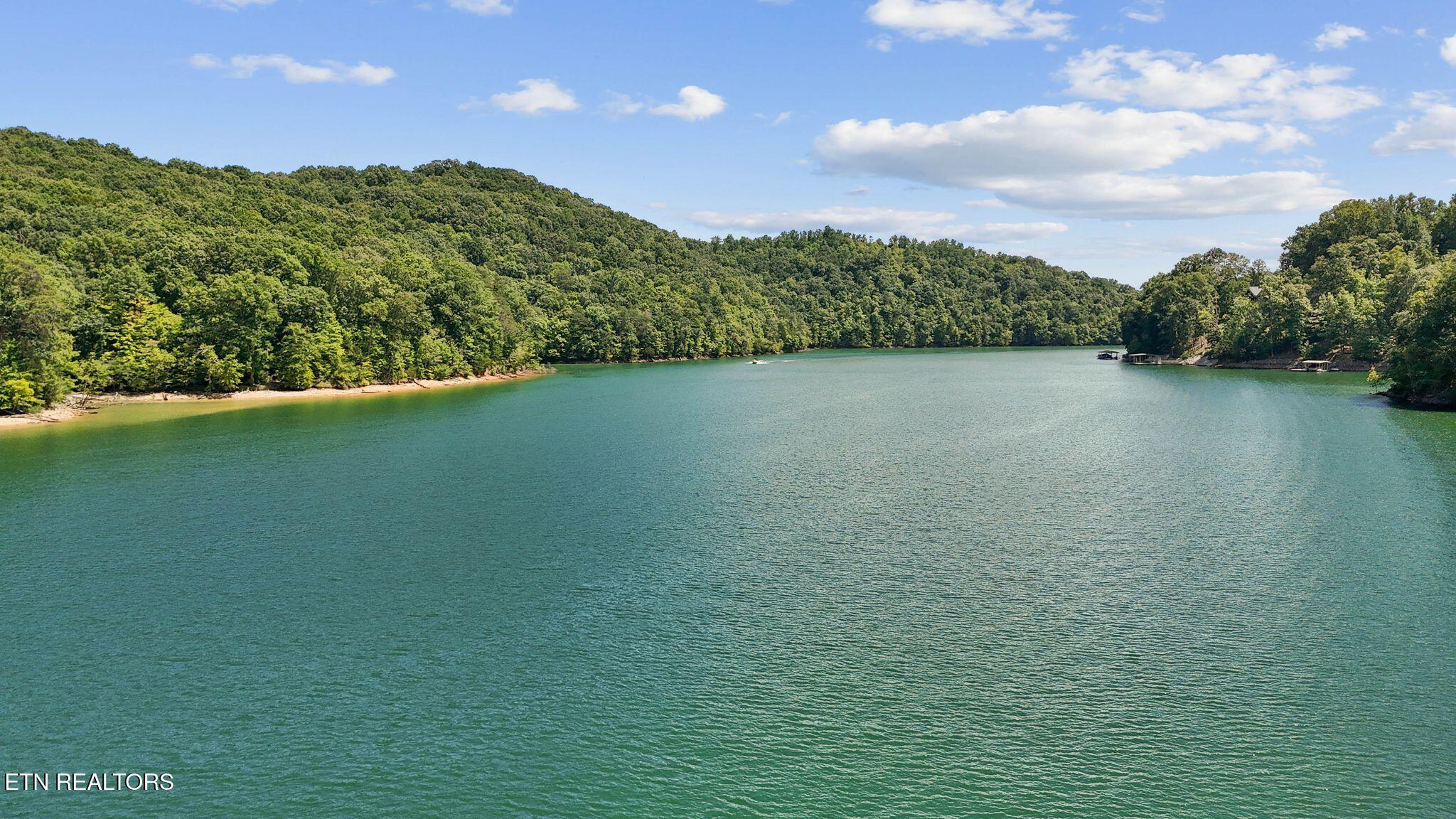 552 Fox Ridge Lane, Caryville, TN - Norris Lake Real Estate - Image# 59