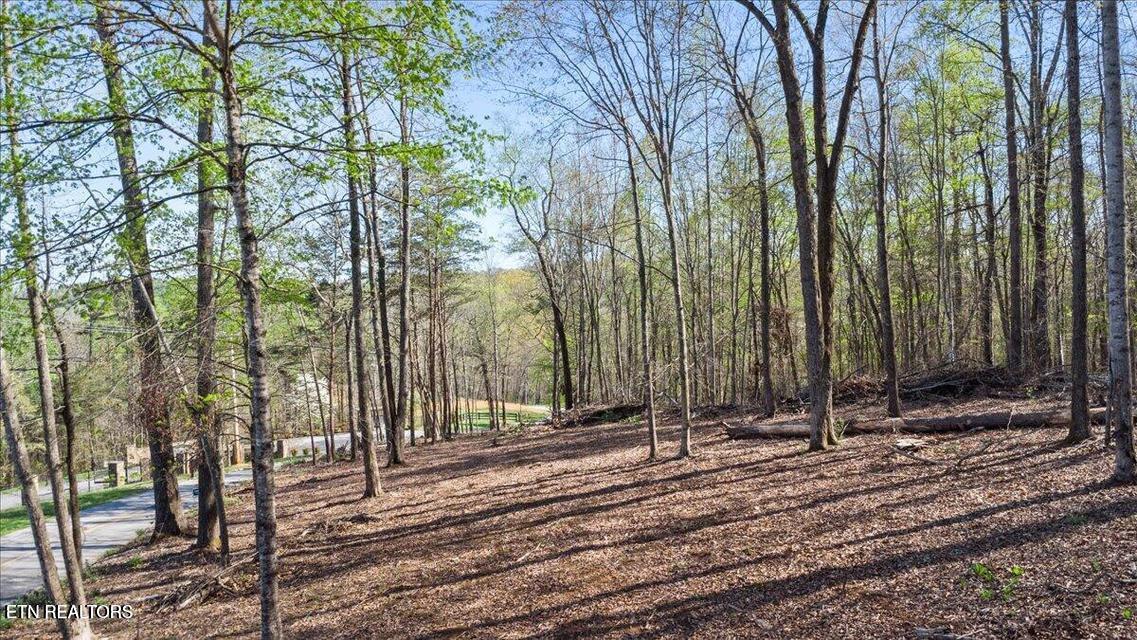 Demory Rd, Lafollette, TN - Norris Lake Real Estate - Image# 7