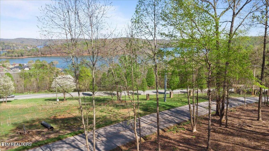 Demory Rd, Lafollette, TN - Norris Lake Real Estate - Image# 10