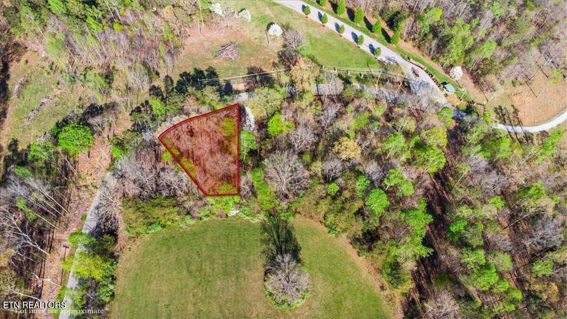 Lafollette, TN - Norris Lake Real Estate - Image# 20