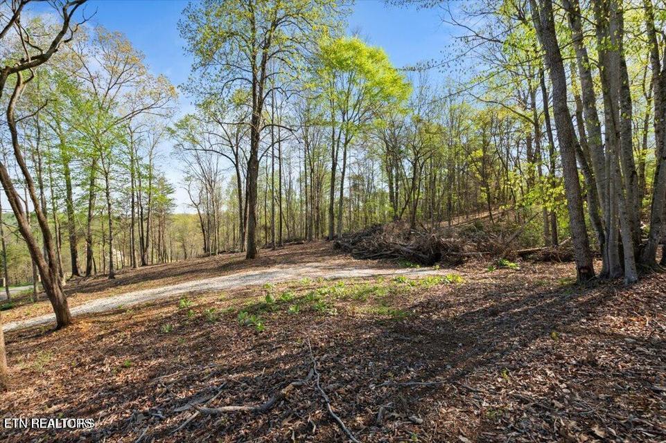 Lafollette, TN - Norris Lake Real Estate - Image# 9