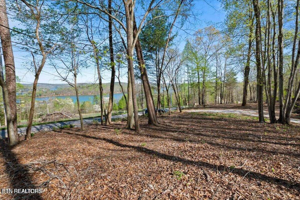 Lafollette, TN - Norris Lake Real Estate - Image# 10