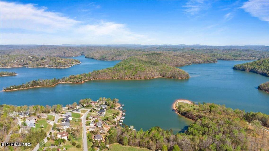 Lafollette, TN - Norris Lake Real Estate - Image# 2