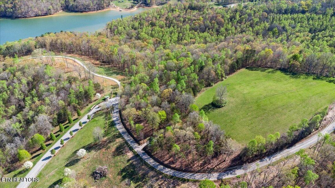 Demory Rd, Lafollette, TN - Norris Lake Real Estate - Image# 3