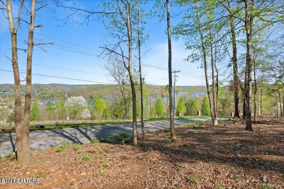 Demory Rd, Lafollette, TN - Norris Lake Real Estate - Image# 5