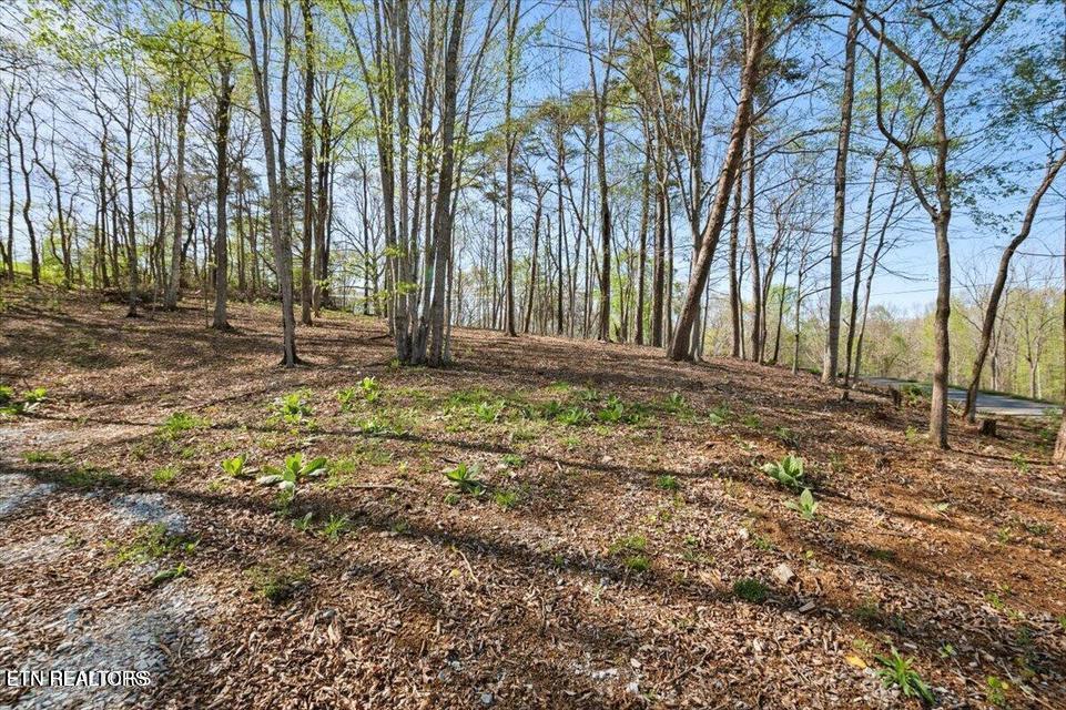 Demory Rd, Lafollette, TN - Norris Lake Real Estate - Image# 7