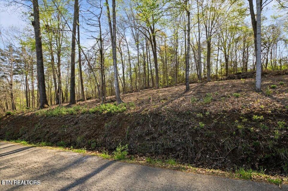Demory Rd, Lafollette, TN - Norris Lake Real Estate - Image# 12