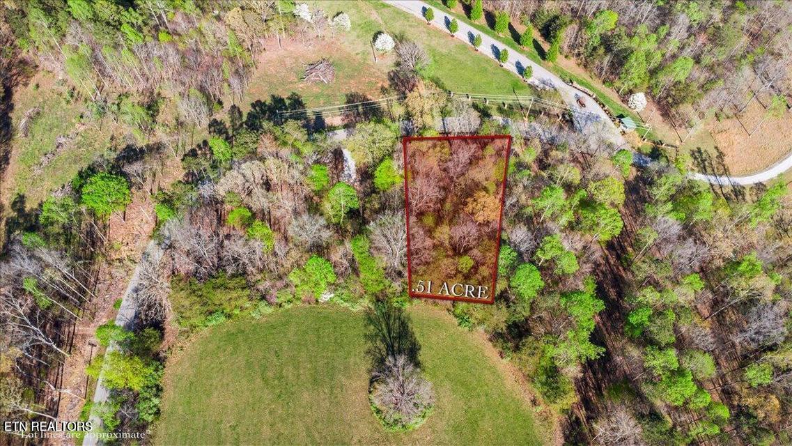 Demory Rd, Lafollette, TN - Norris Lake Real Estate - Image# 1