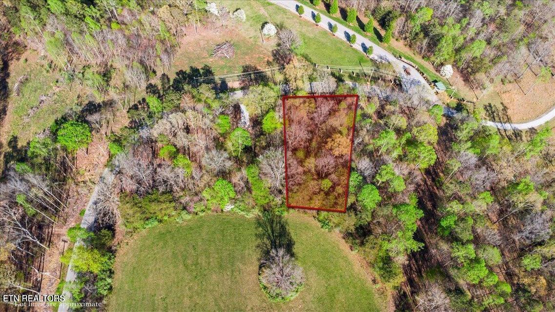 Demory Rd, Lafollette, TN - Norris Lake Real Estate - Image# 20