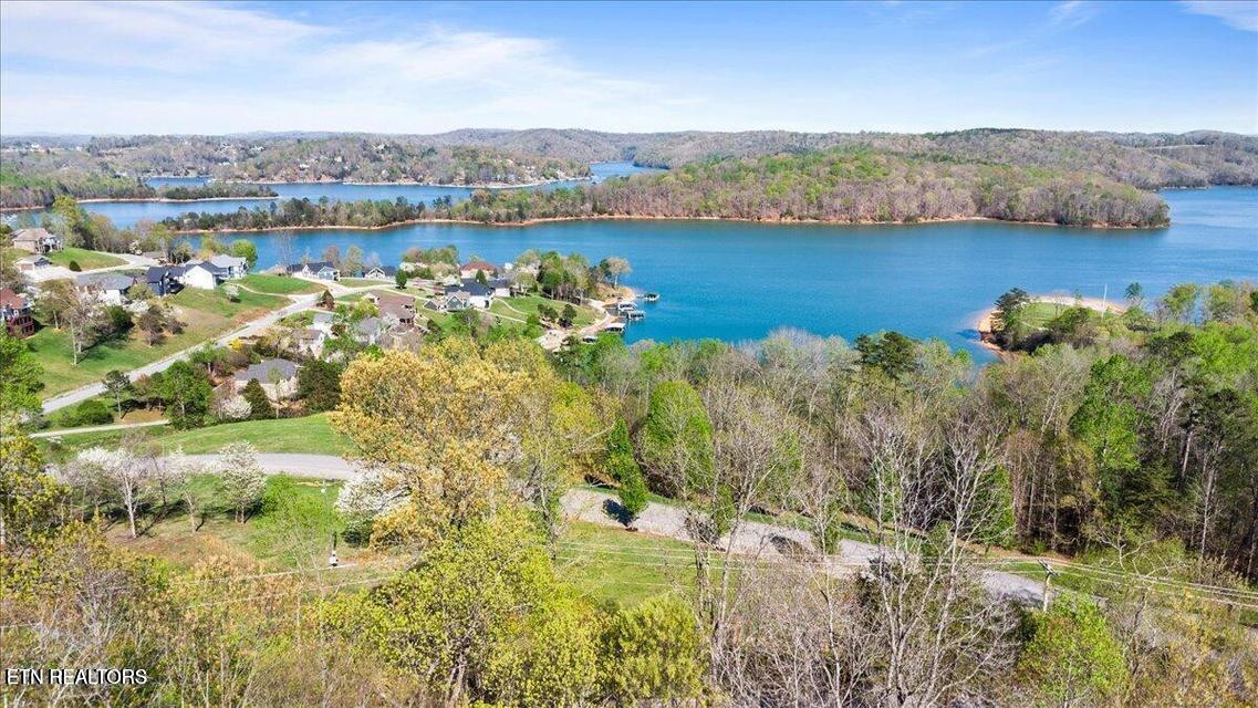 Demory Rd, Lafollette, TN - Norris Lake Real Estate - Image# 4