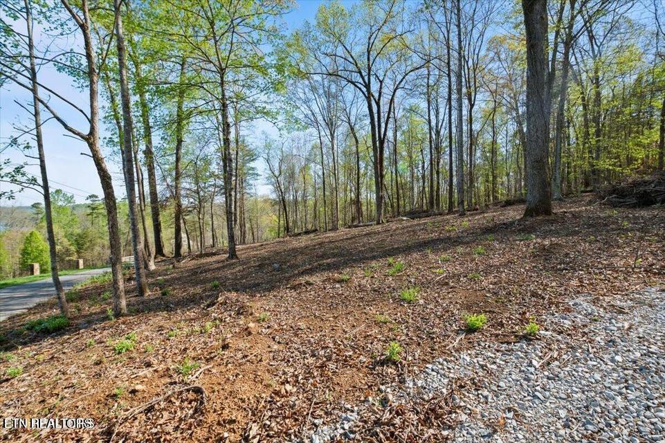 Demory Rd, Lafollette, TN - Norris Lake Real Estate - Image# 6