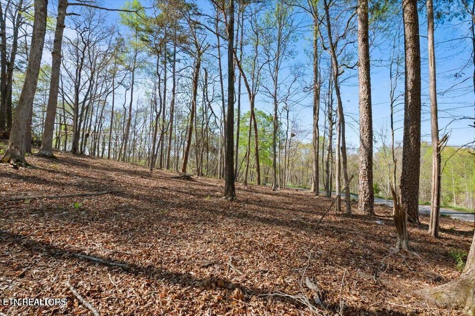 Demory Rd, Lafollette, TN - Norris Lake Real Estate - Image# 8