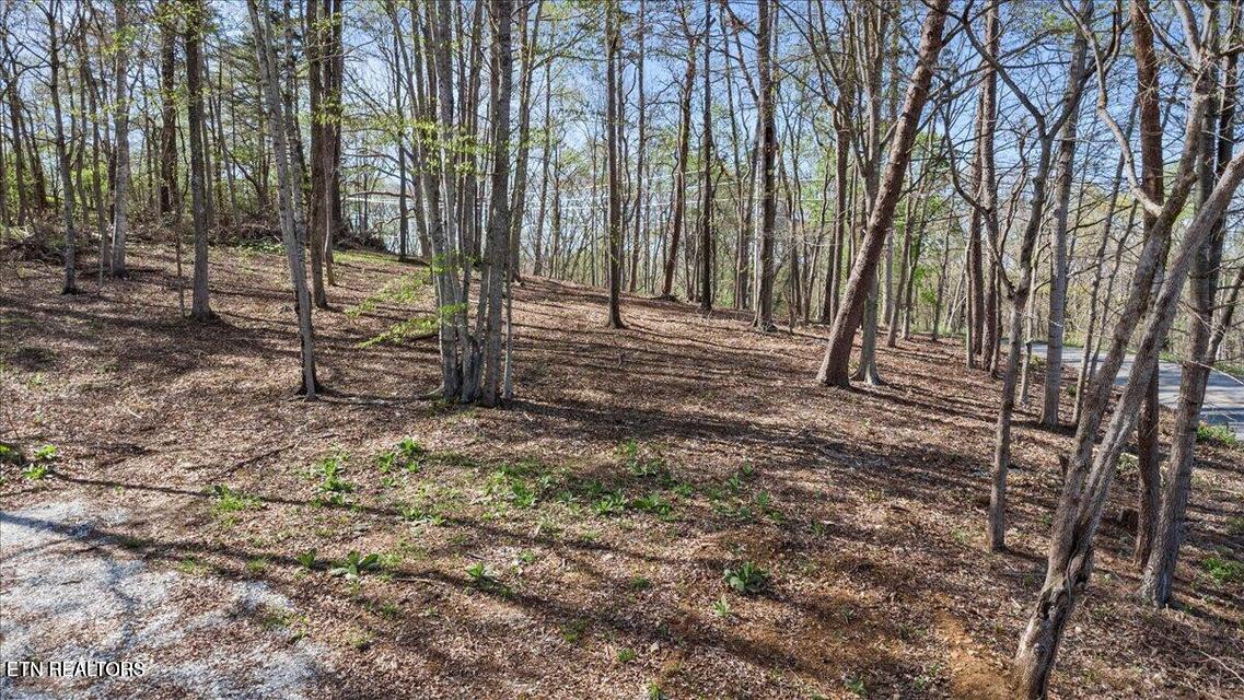 Demory Rd, Lafollette, TN - Norris Lake Real Estate - Image# 15