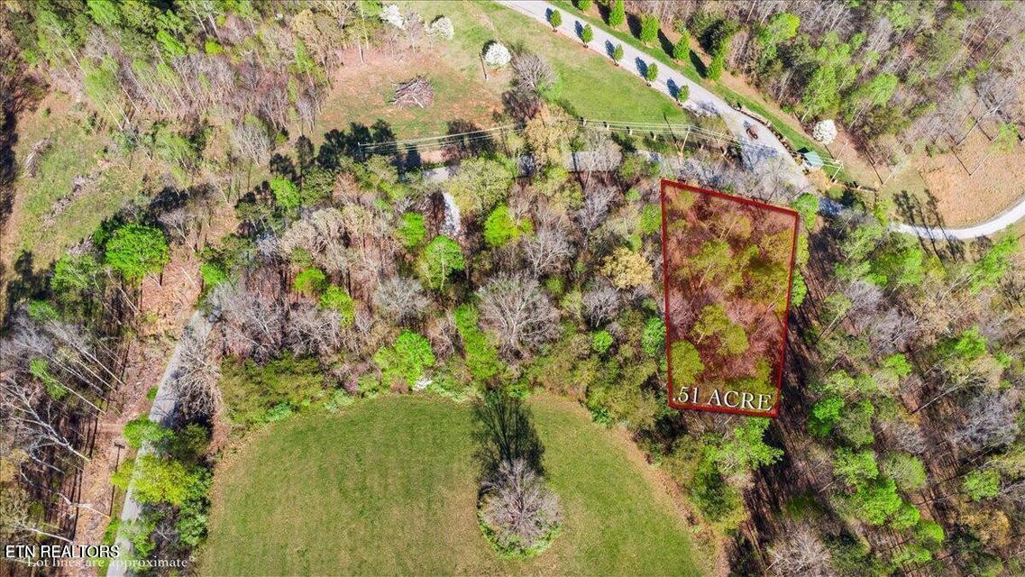 Demory Rd, Lafollette, TN - Norris Lake Real Estate - Image# 1