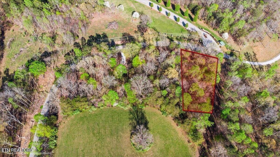 Demory Rd, Lafollette, TN - Norris Lake Real Estate - Image# 20