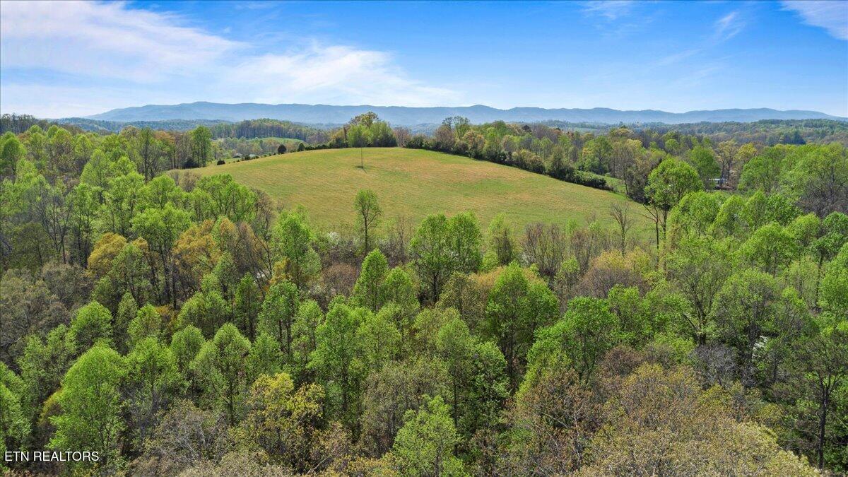 Old Glory Lane, Lafollette, TN - Norris Lake Real Estate - Image# 4