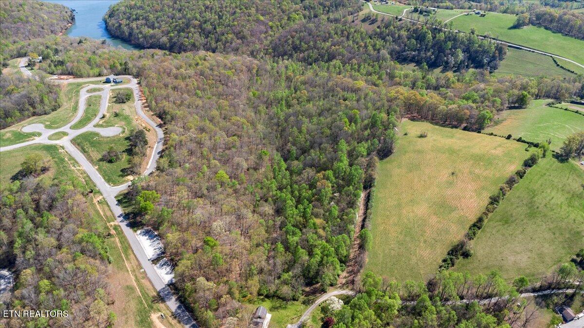Old Glory Lane, Lafollette, TN - Norris Lake Real Estate - Image# 6