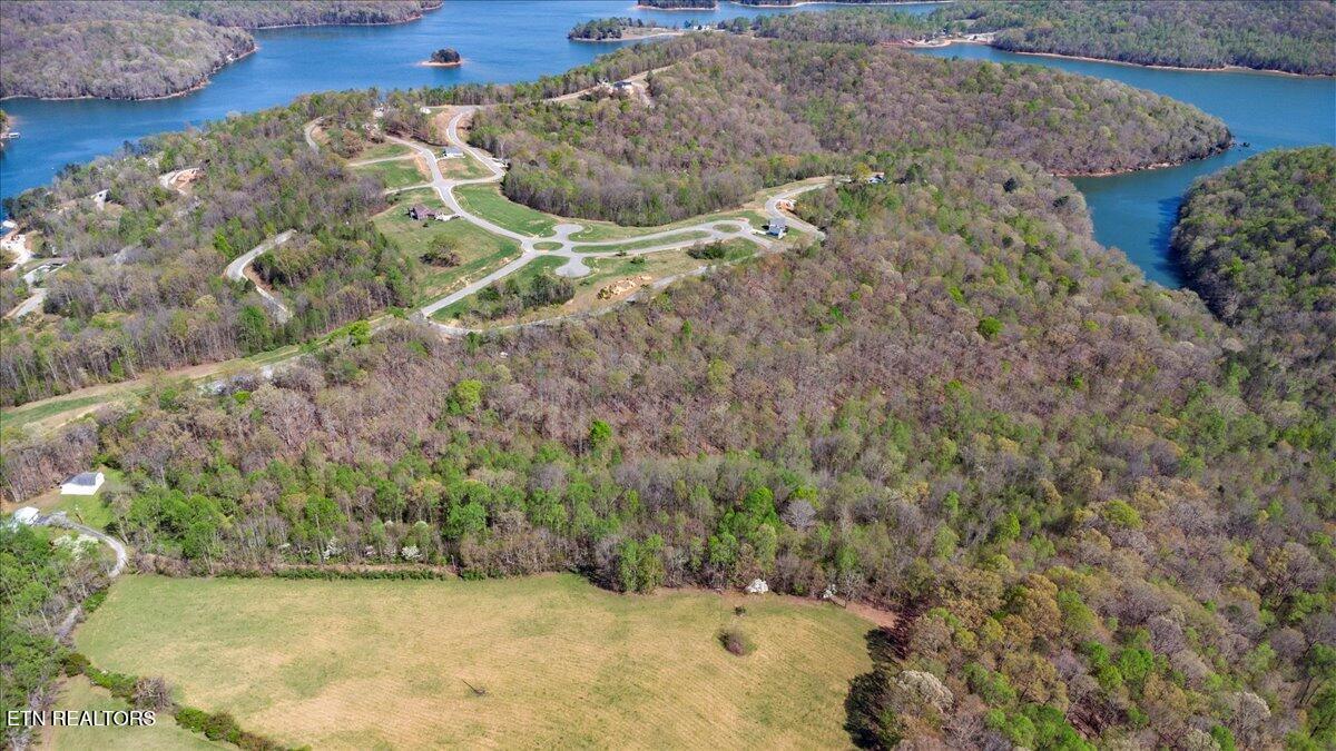 Old Glory Lane, Lafollette, TN - Norris Lake Real Estate - Image# 8