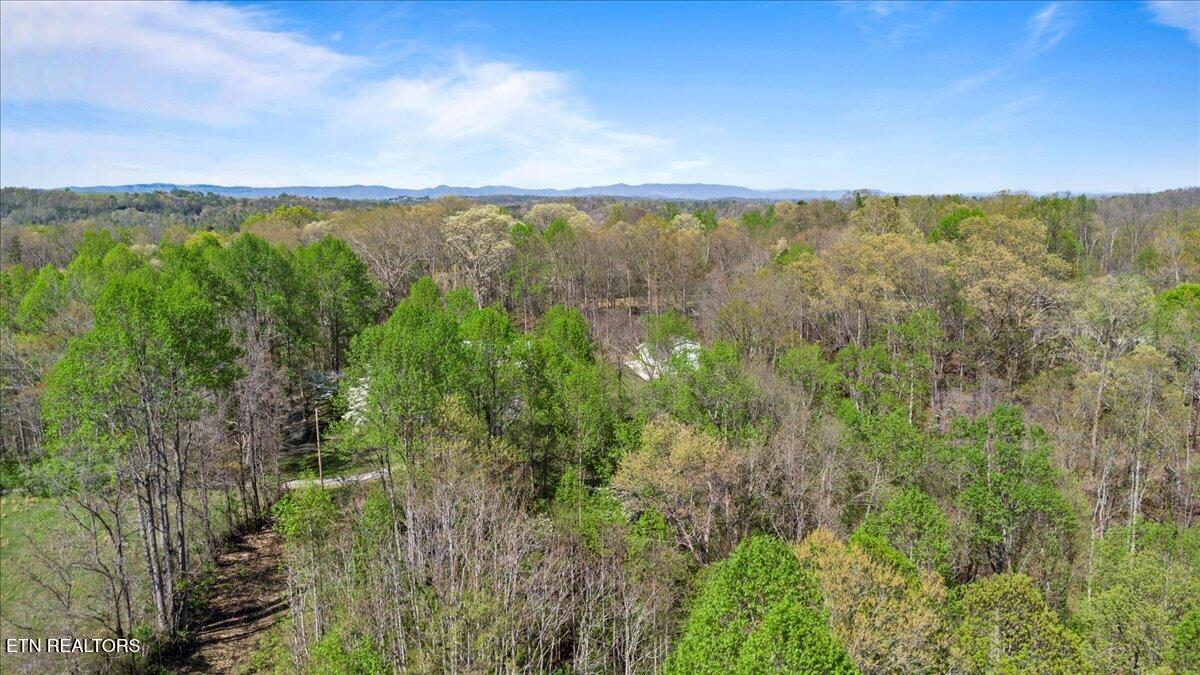 Old Glory Lane, Lafollette, TN - Norris Lake Real Estate - Image# 9