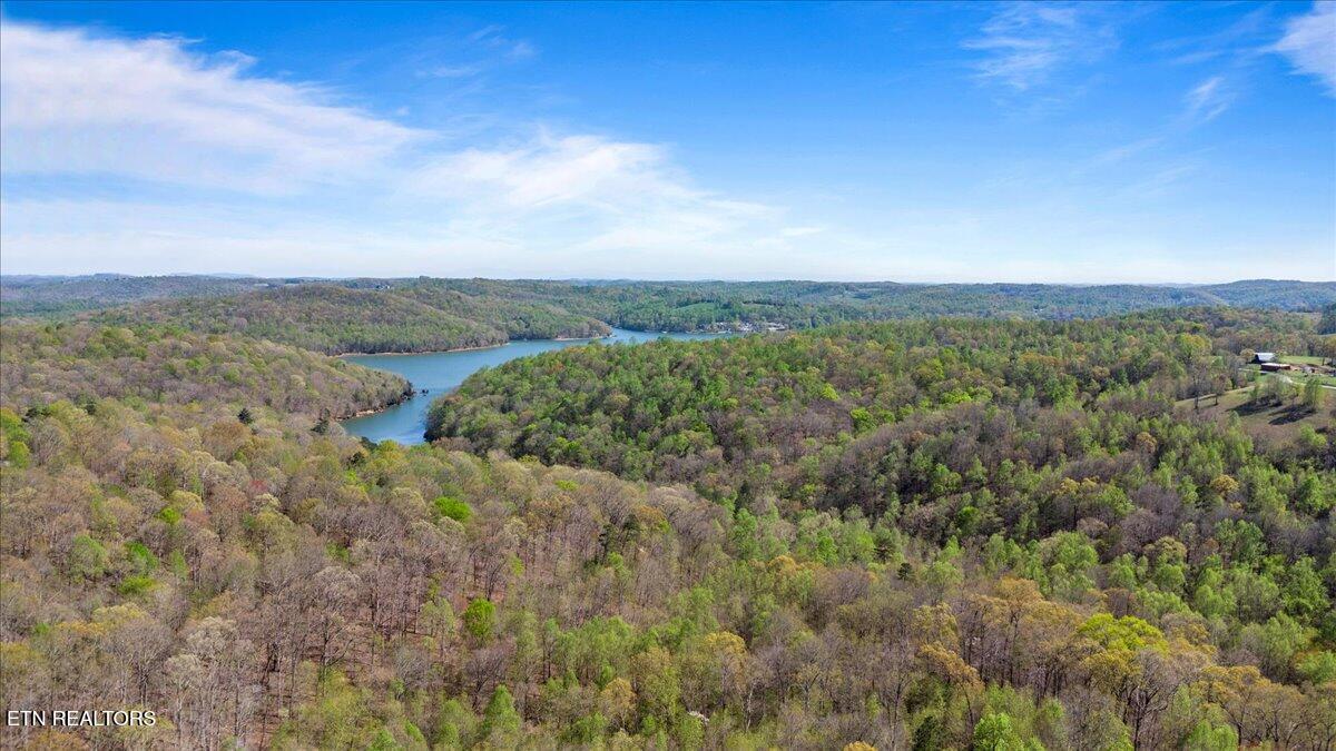 Old Glory Lane, Lafollette, TN - Norris Lake Real Estate - Image# 10
