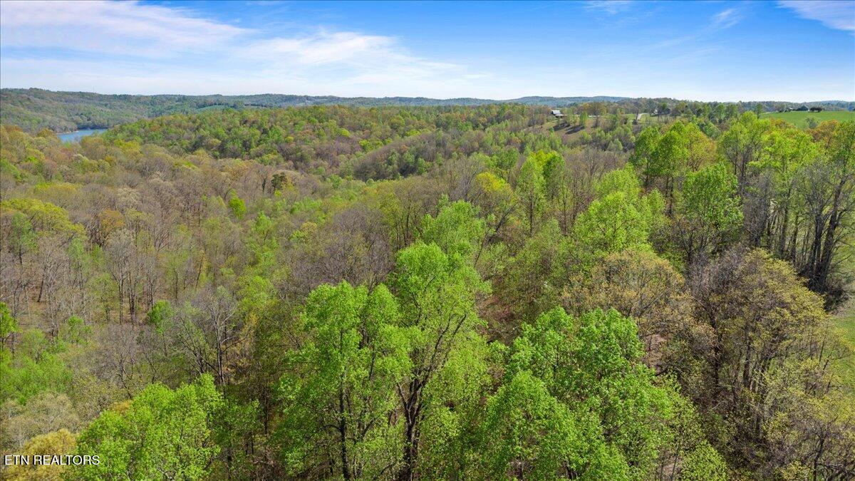 Old Glory Lane, Lafollette, TN - Norris Lake Real Estate - Image# 11