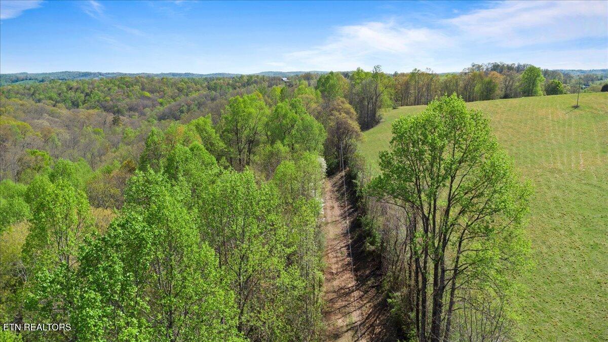 Old Glory Lane, Lafollette, TN - Norris Lake Real Estate - Image# 12