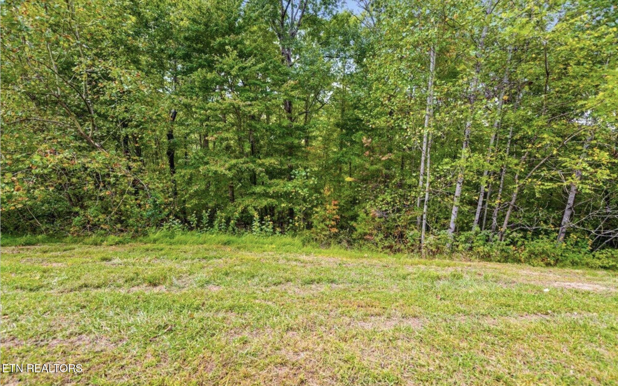 Lot 44 Old Hearth, Lafollette, TN - Norris Lake Real Estate - Image# 5