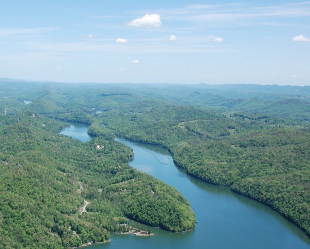 Black Fox Harbor Homes for Sale Norris lake