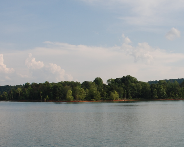 Black Fox Harbor Lots for Sale Norris Lake